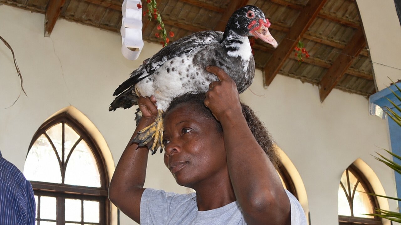 Eine Frau trägt ein lebendes Huhn auf dem Kopf zum Erntedanktisch